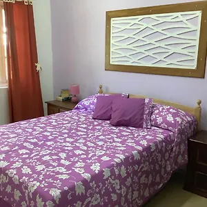 Bora Red Hibiscus Homestay